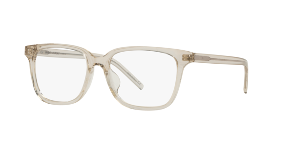 Saint Laurent SL M110/F Eyeglasses | LensCrafters