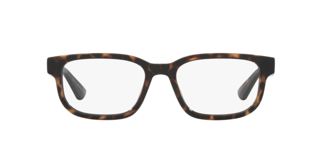 Gucci Man Écaille De Tortue Havane