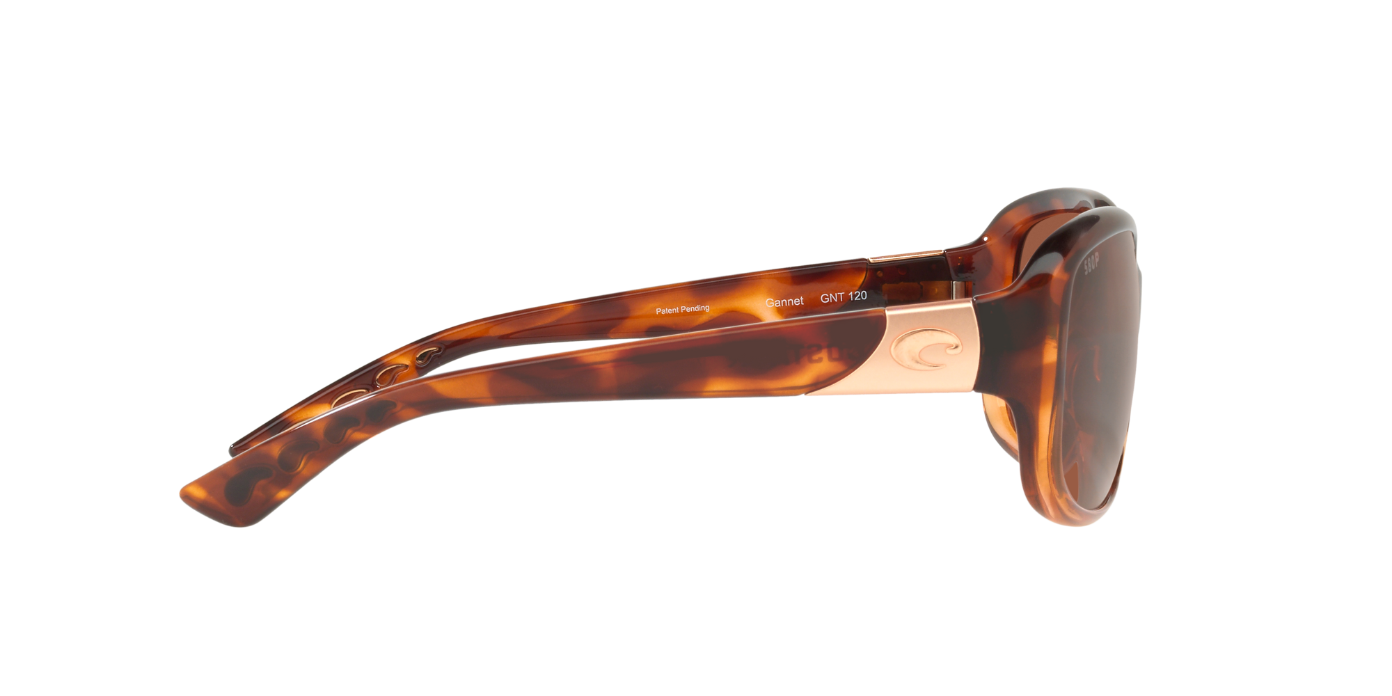 costa gannet tortoise